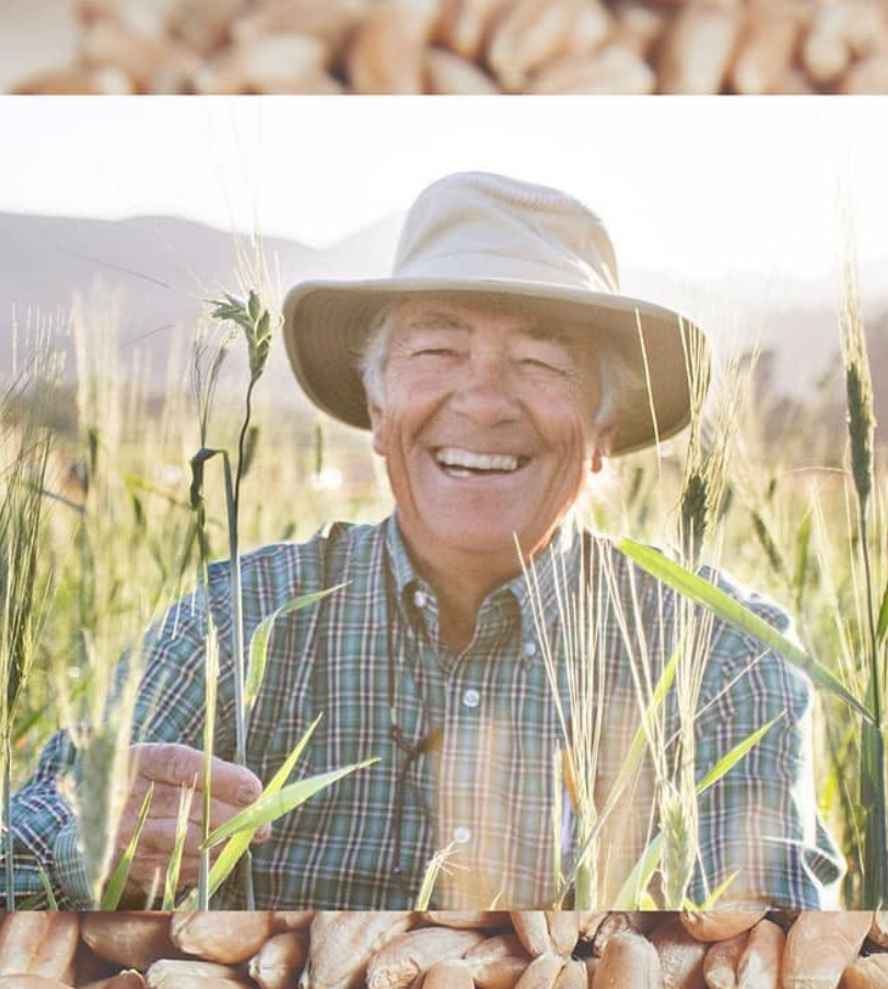 123_farm_2.png