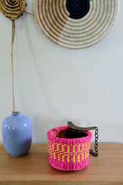 Mini Storage Plant Basket (Pop Parade)