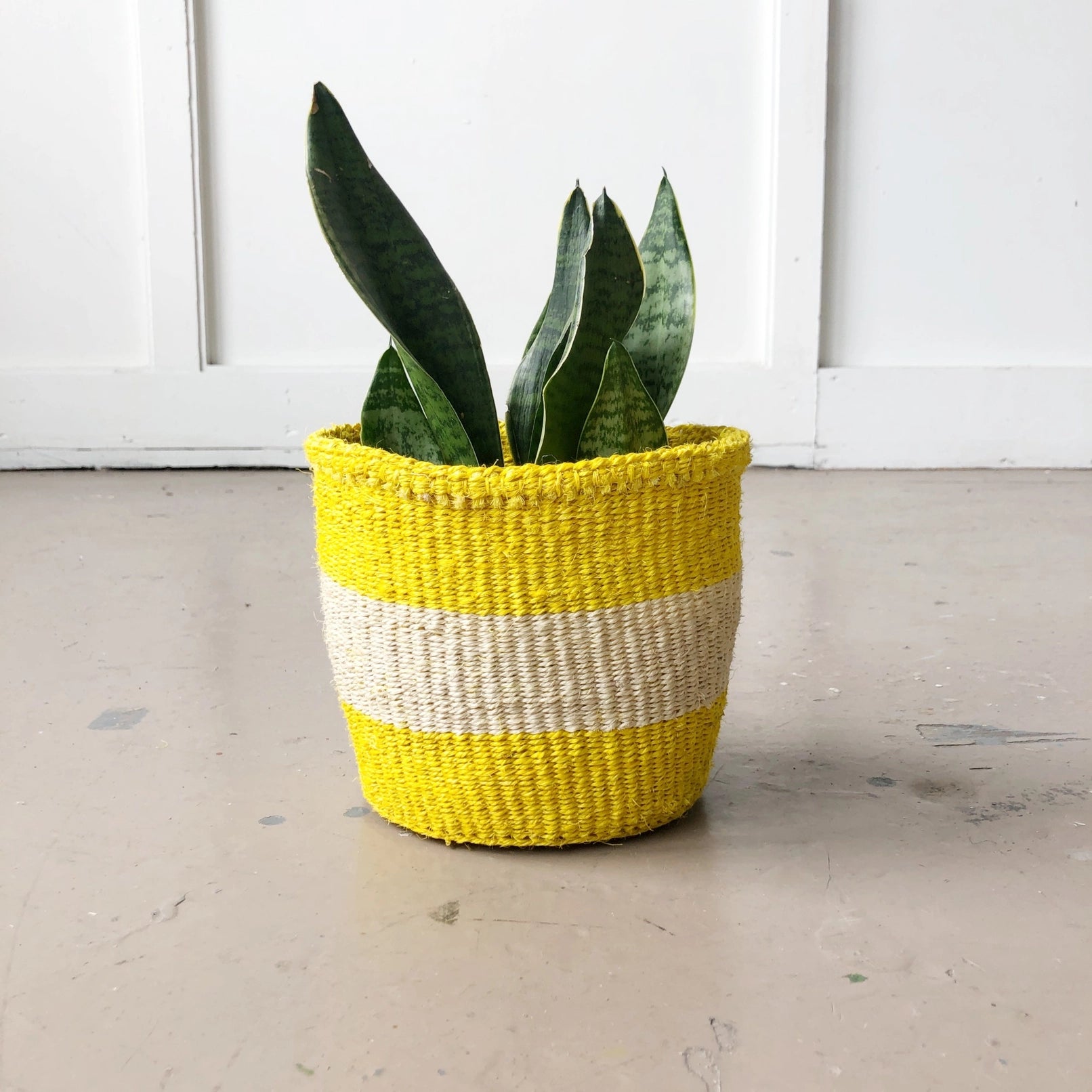 Storage Plant Basket: Lemon Zest