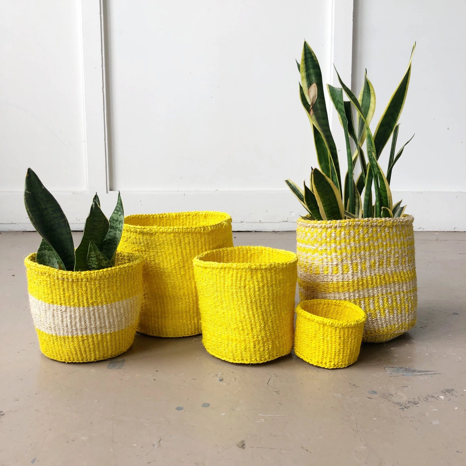 Storage_plant_basket_lemon_zest_2.webp