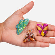 Allie Moth Clips