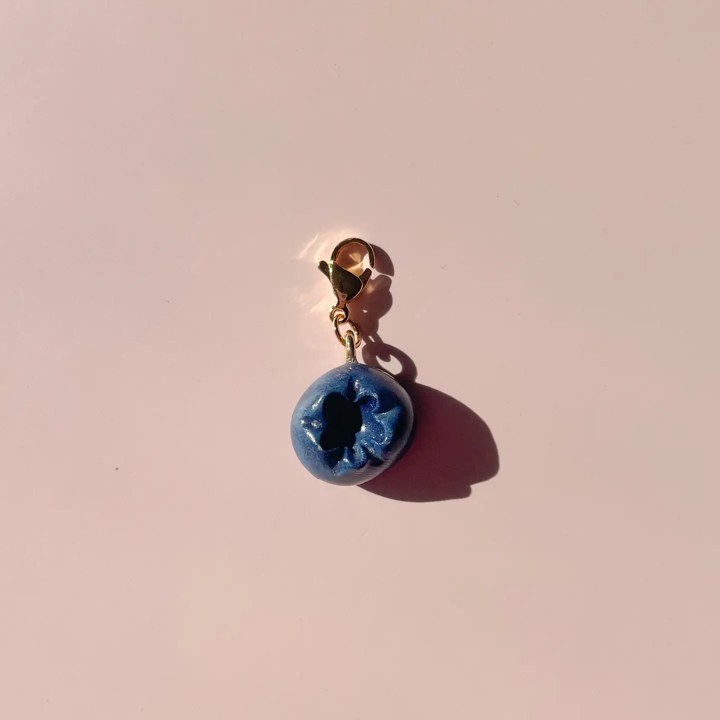 blueberry_charm.webp