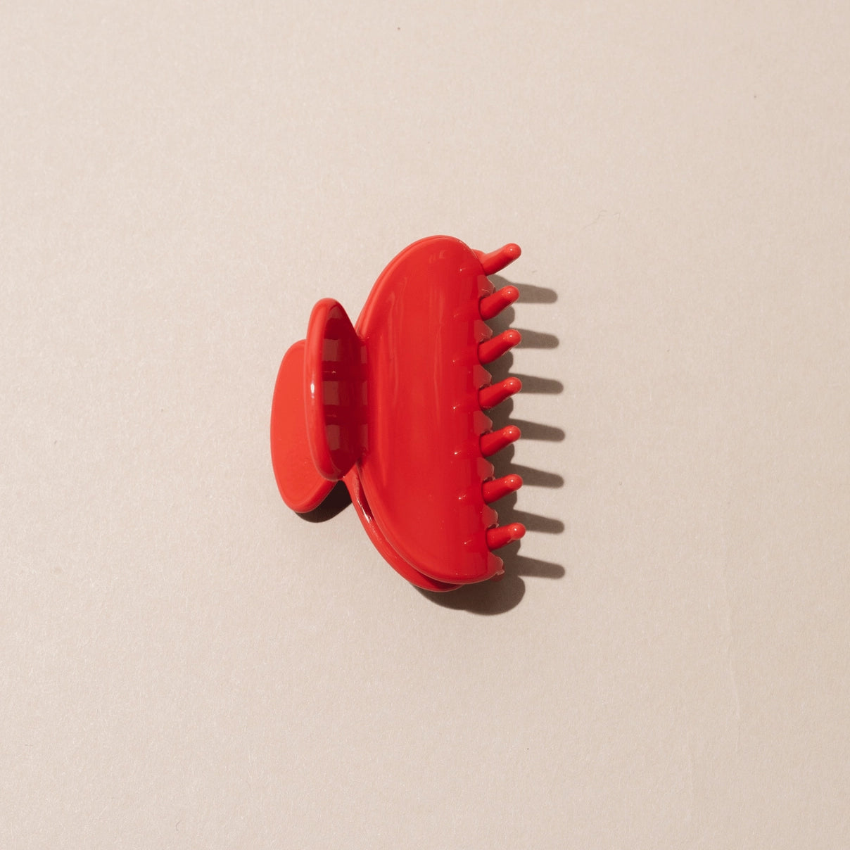 claw_clip_small_173f75d8-14ba-49ac-8b73-f45c4fc4588e.webp