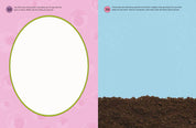 The Creative Playbook
