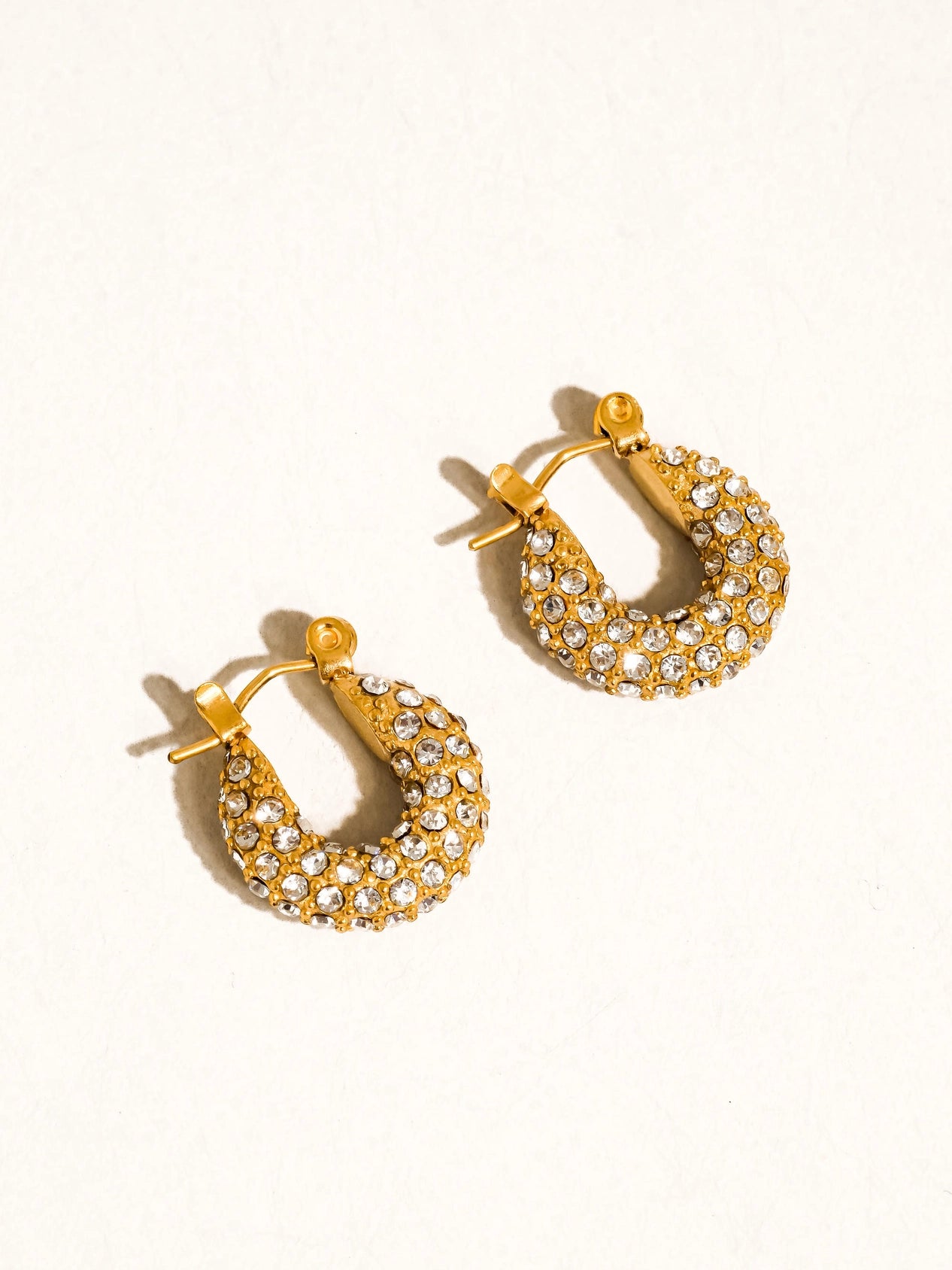 Joleen Hoop Earrings