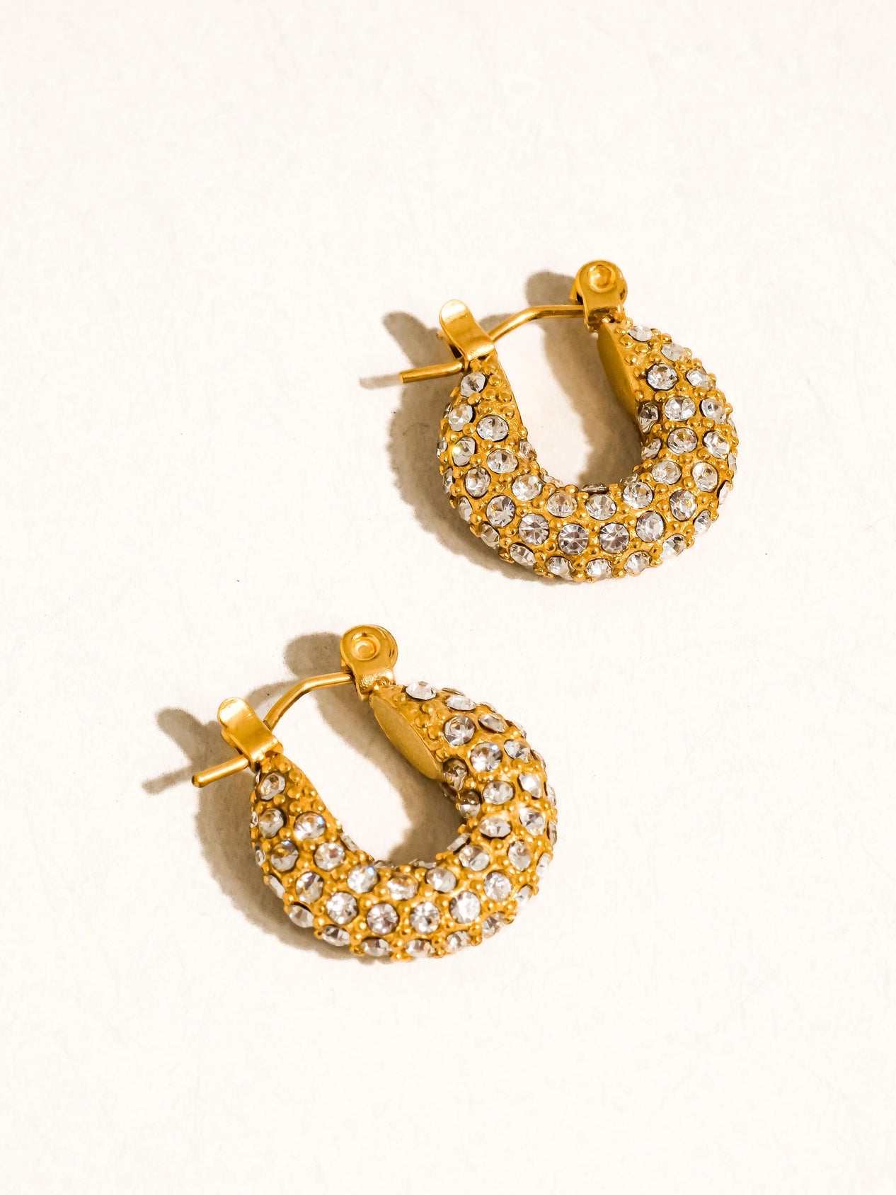 Joleen Hoop Earrings