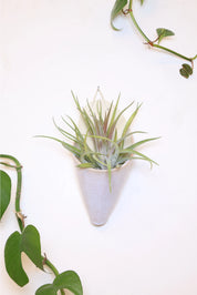 Large Ceramic Cone