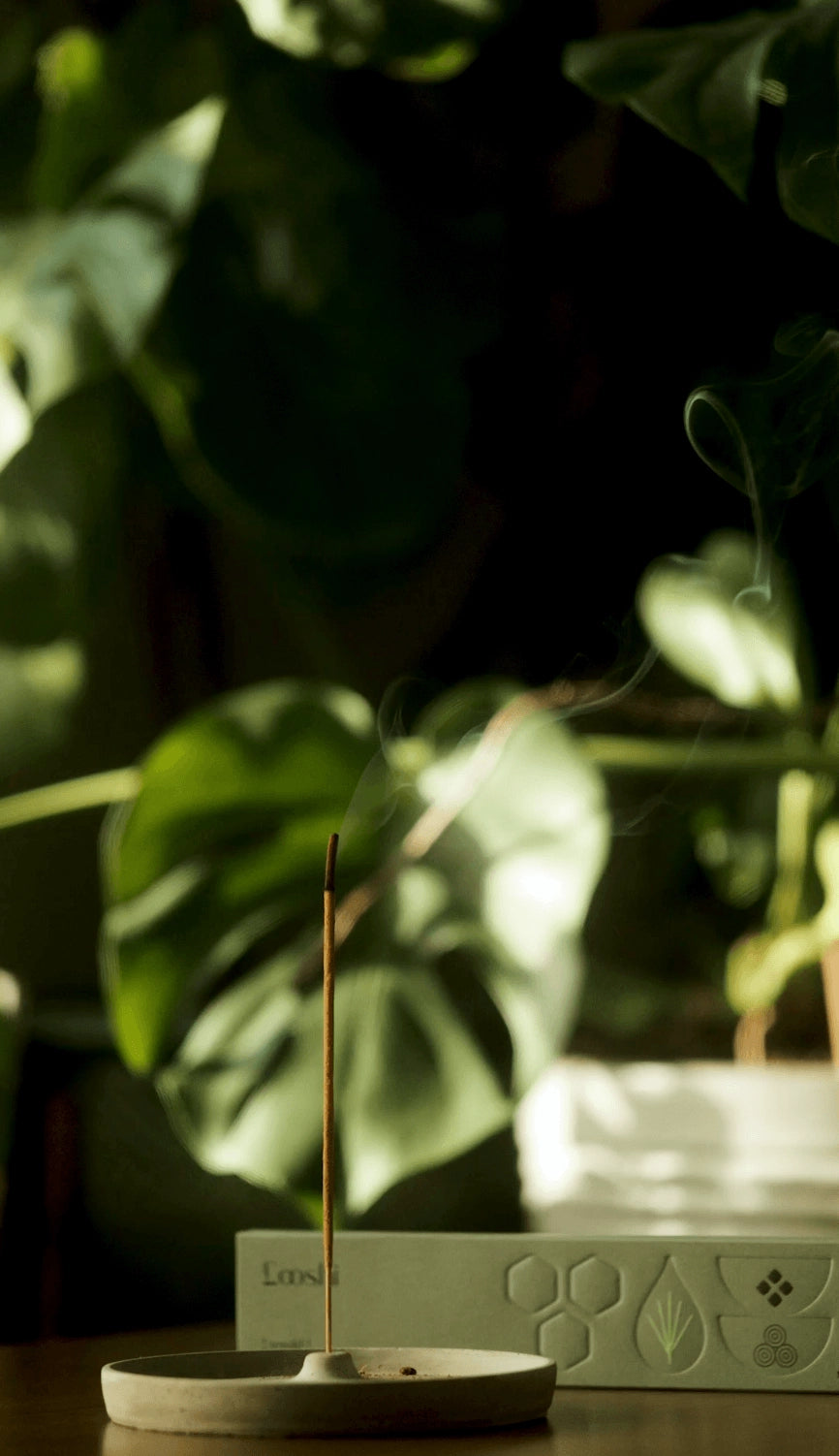 looshi_rewild_incense_3.webp