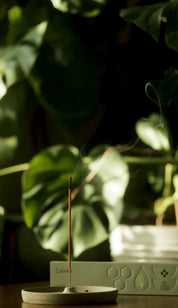 Natural Incense Sticks with Vetiver, Musk, Redwood