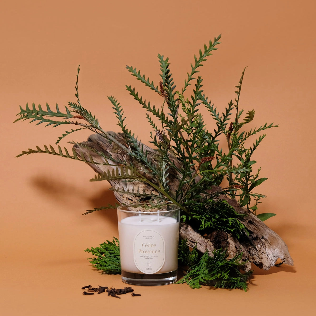 maison_maison_cedar_provence_candle.webp