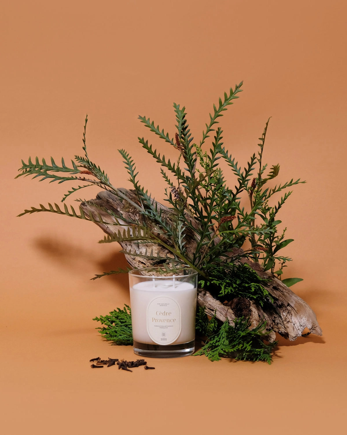 Cedar Provence Candle: Woody Fragrance with Cedar, Spices, and Herbal Notes