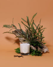 Cedar Provence Candle: Woody Fragrance with Cedar, Spices, and Herbal Notes