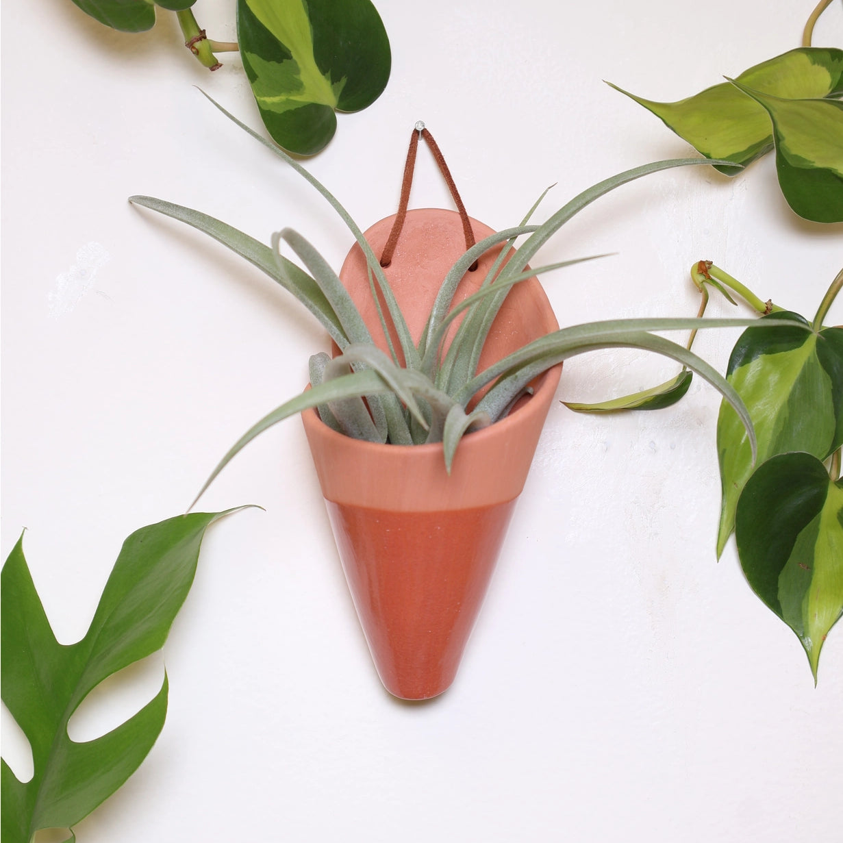 medium_ceramic_cone_terracotta.webp
