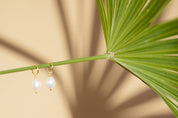 Rainey Freshwater Pearl Dangle Earrings