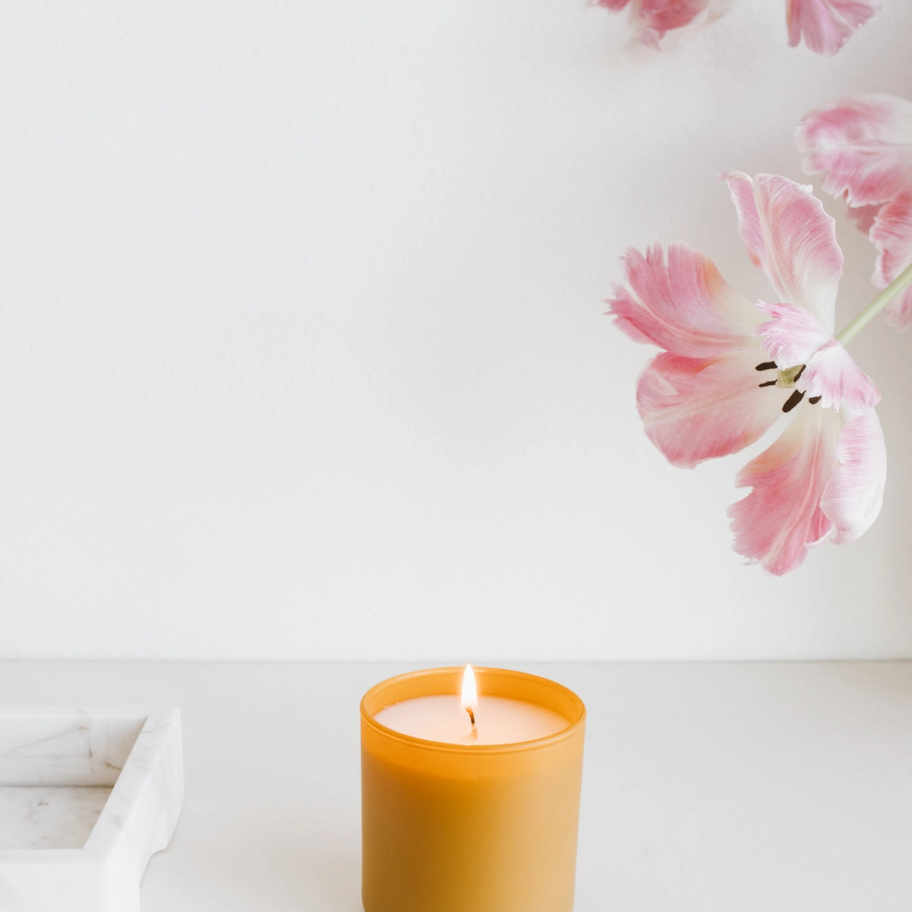 vetiver_tonka_candle.webp